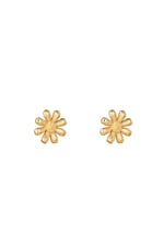 Gold color / Earrings Shiny Diasy Gold Color Stainless Steel 