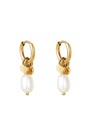 Earrings Pearl Drops Gold Color Stainless Steel h5 