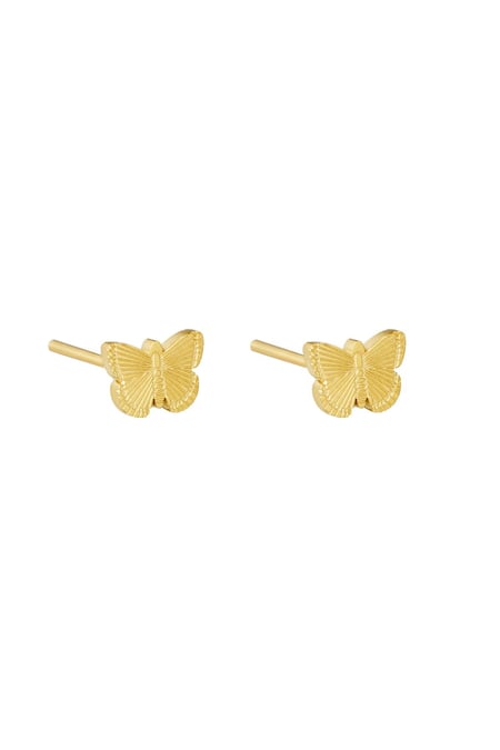 Earrings Fly Gold Color Stainless Steel 2