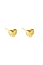 Gold color / Earrings Bold Heart Gold Color Stainless Steel 