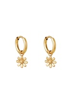 Gold color / Earrings Little Daisy Gold Color Stainless Steel Picture2