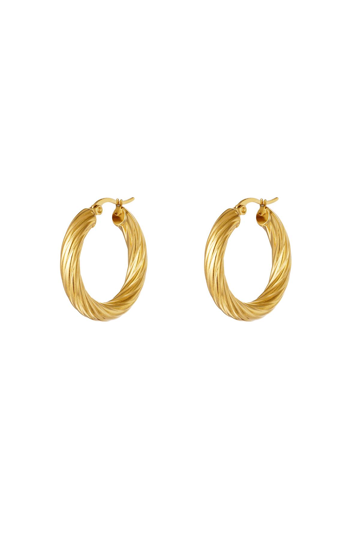 stainless steel twisted hoop earrings