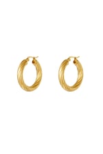 Gold color / Stainless steel twisted hoop earrings Gold color Picture2