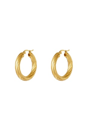 Stainless steel twisted hoop earrings Gold color h5 