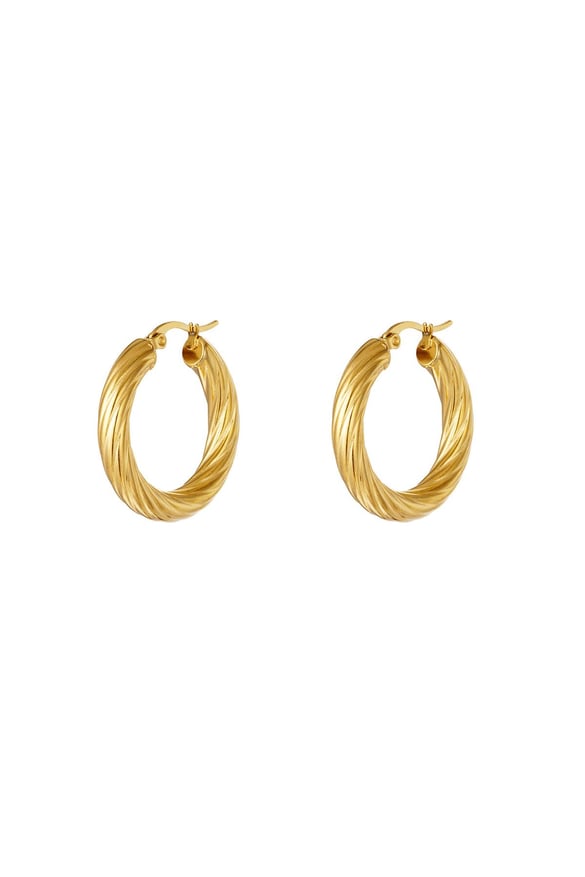 stainless steel twisted hoop earrings  2