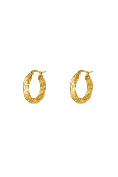stainless steel hoop earrings  h5 