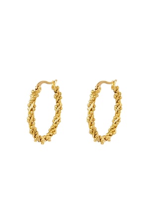 Stainless Steel Twisted Hoop Earrings Gold color h5 