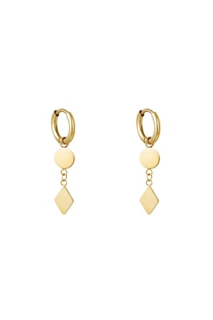 Earrings Geometry Gold Color Stainless Steel h5 