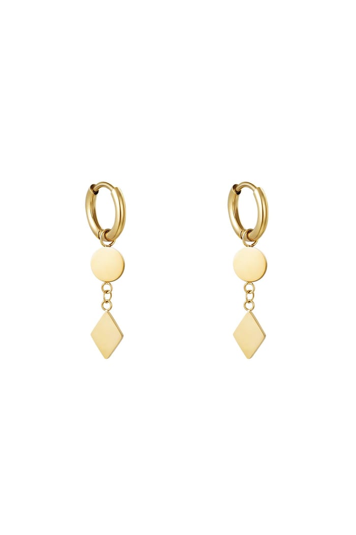 Earrings Geometry Gold Color Stainless Steel 