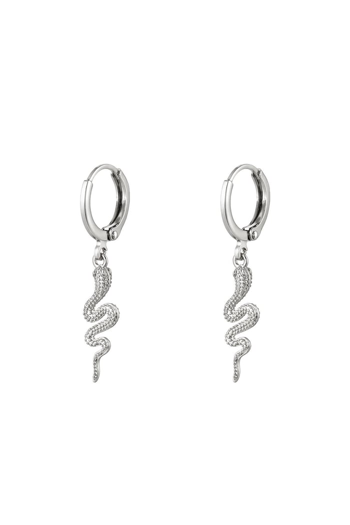 Earrings Special Snake Silver Gold Color 