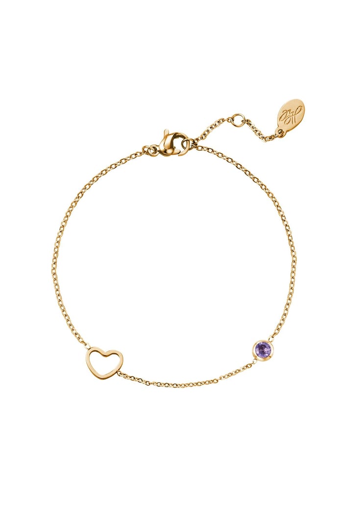 Birthstone bracelet February Gold Color Purple Stainless Steel 