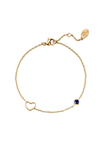 Birthstone bracelet January Gold Color Red Stainless Steel h5 