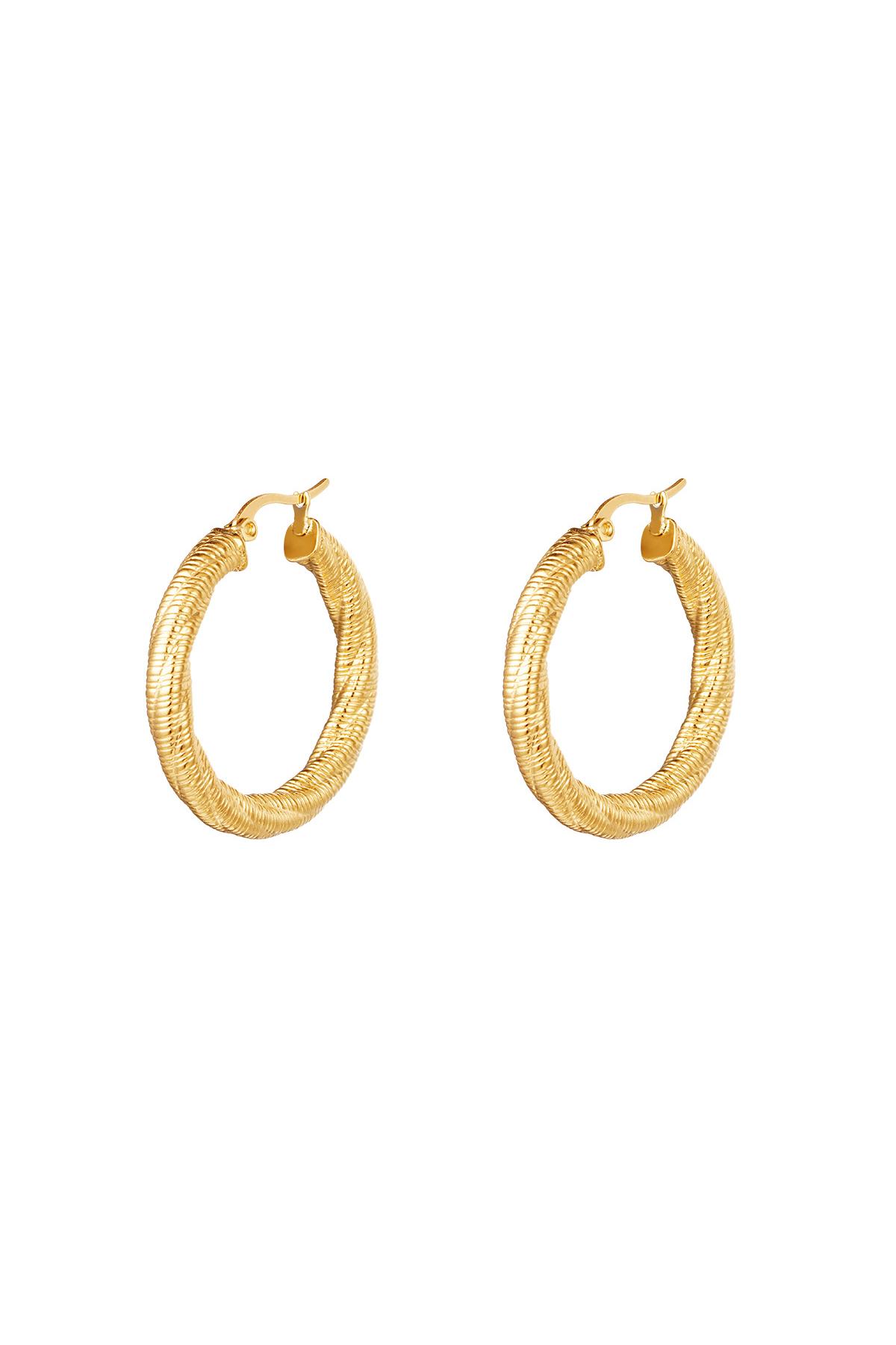 Hoops twisted small Silver Color Stainless Steel