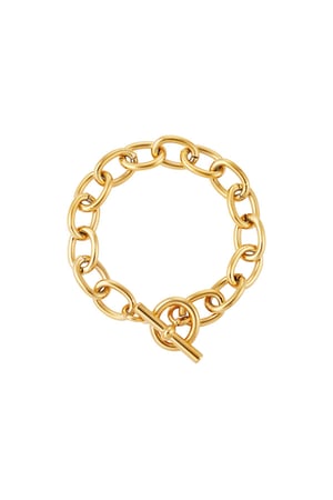 Stainless steel bracelet  Gold color h5 