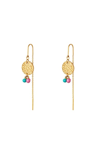 stainless steel earrings  h5 