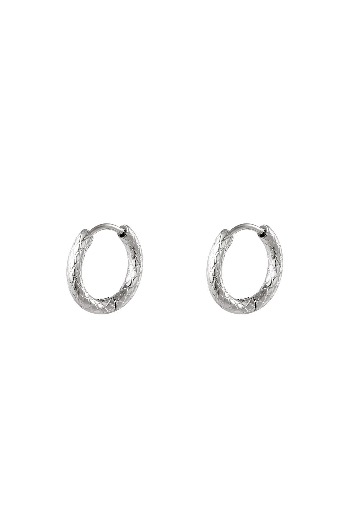 stainless steel hoop earrings