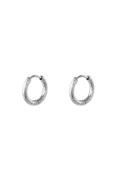 stainless steel hoop earrings h5 