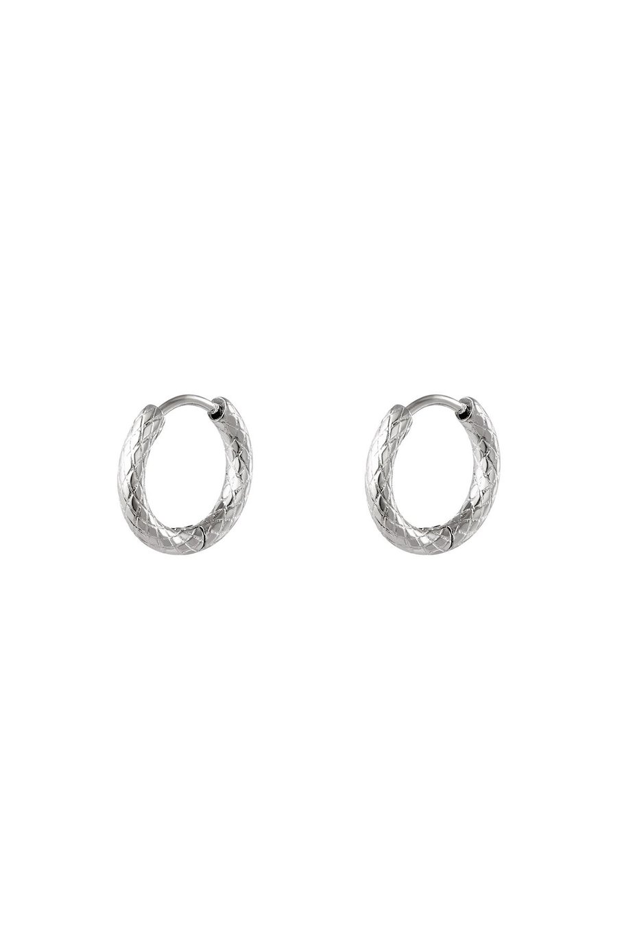 stainless steel hoop earrings 