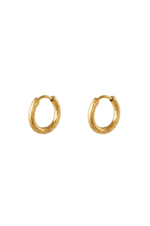 Stainless steel hoop earrings Gold color h5 