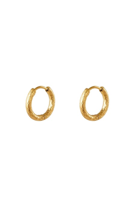 Stainless steel hoop earrings Gold color