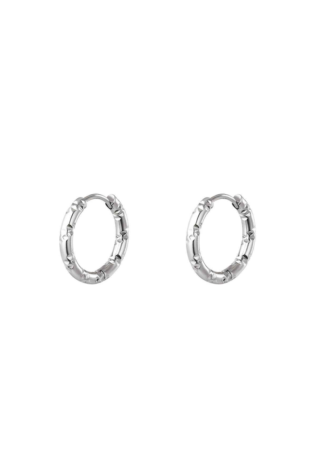stainless steel hoop earrings
