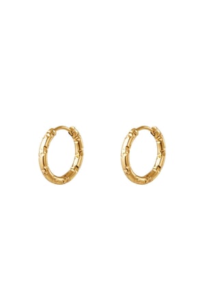 Stainless steel hoop earrings Gold color h5 