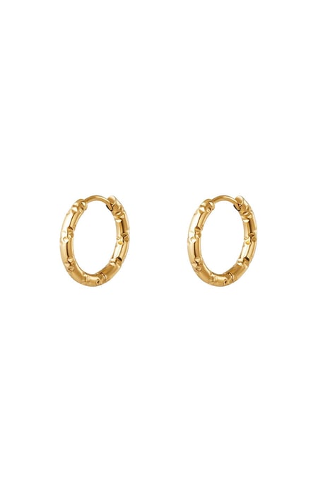 Stainless steel hoop earrings Gold color 2