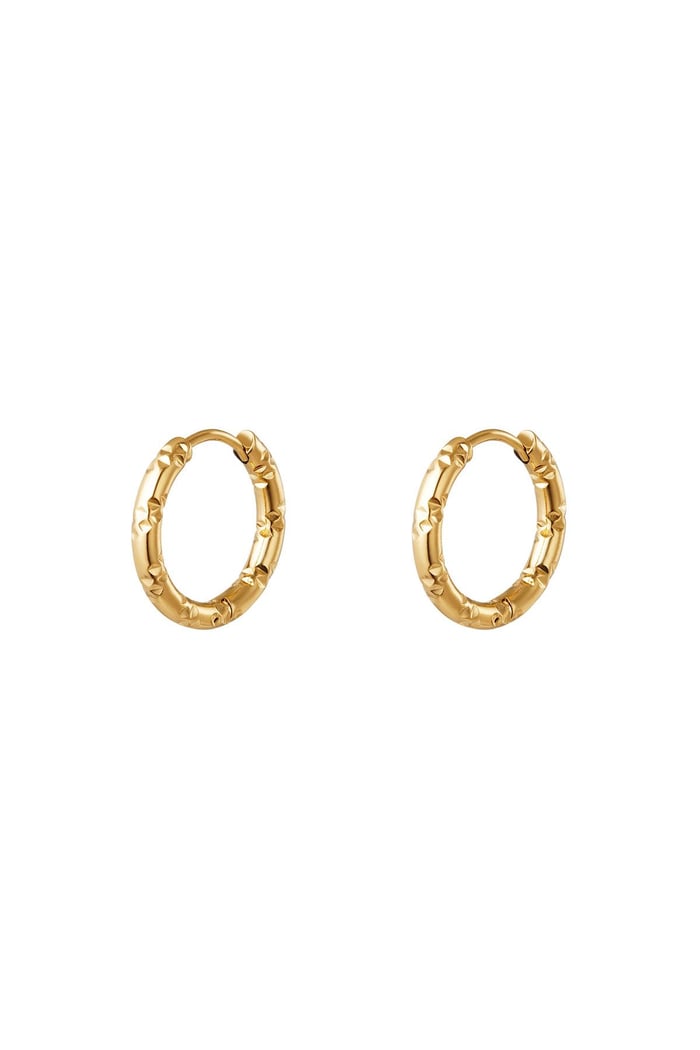 Stainless steel hoop earrings Gold color 