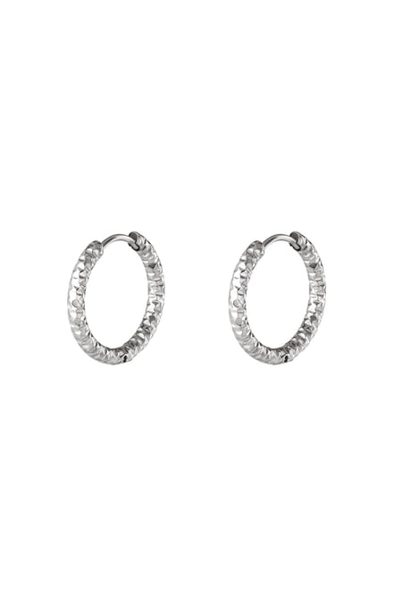 Stainless steel hoop earrings Silver color 2