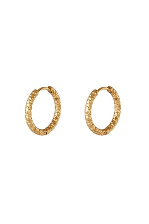 Stainless steel hoop earrings Gold color h5 