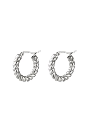 Stainless steel earrings turned Silver color h5 