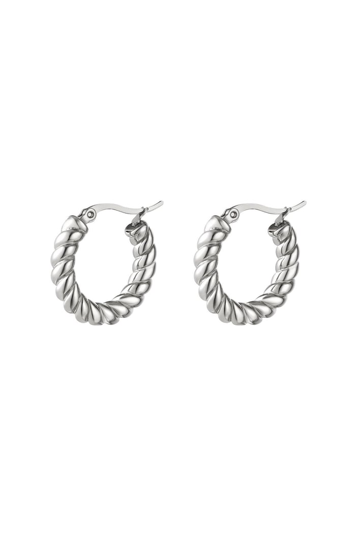 Stainless steel earrings turned Silver color 