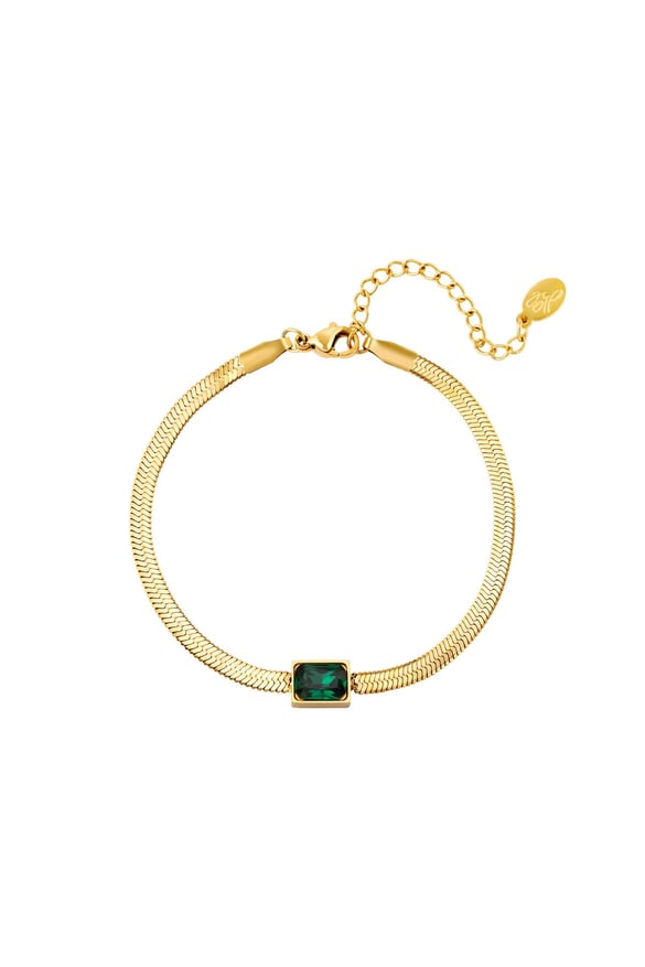 Roestvrijstalen armband vierkante bedel Green &amp; Gold Stainless Steel 2