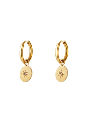 Earrings star with zirkon Gold Color Stainless Steel h5 