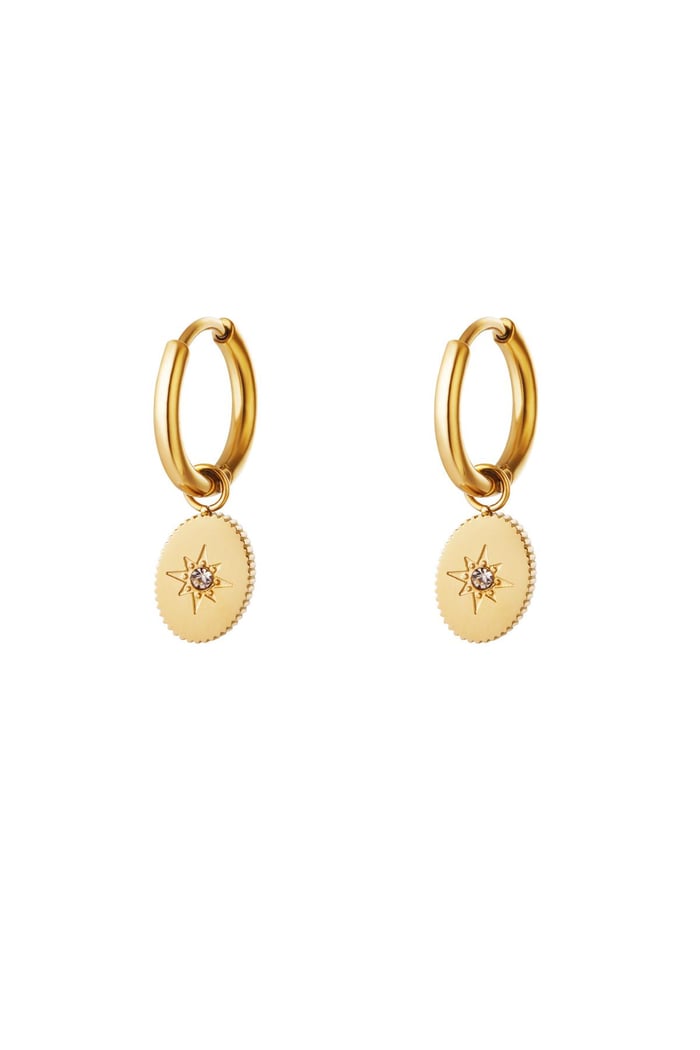 Earrings star with zirkon Gold Color Stainless Steel 