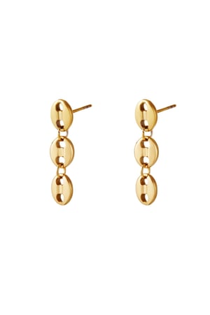 Stainless steel earrings  Gold color h5 