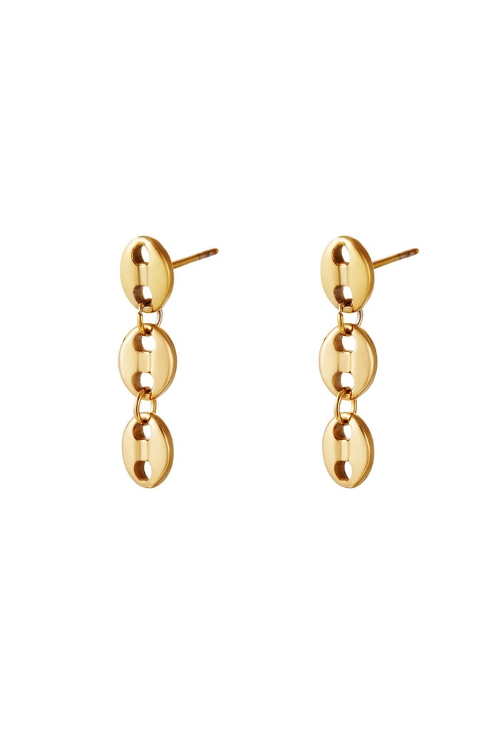 Stainless steel earrings  Gold color 