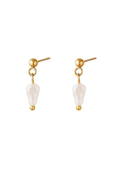 Earrings hanging pearl Silver Color Stainless Steel h5 