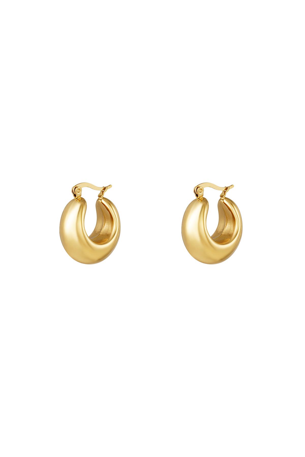 Bold hoop earrings small Silver Color Stainless Steel