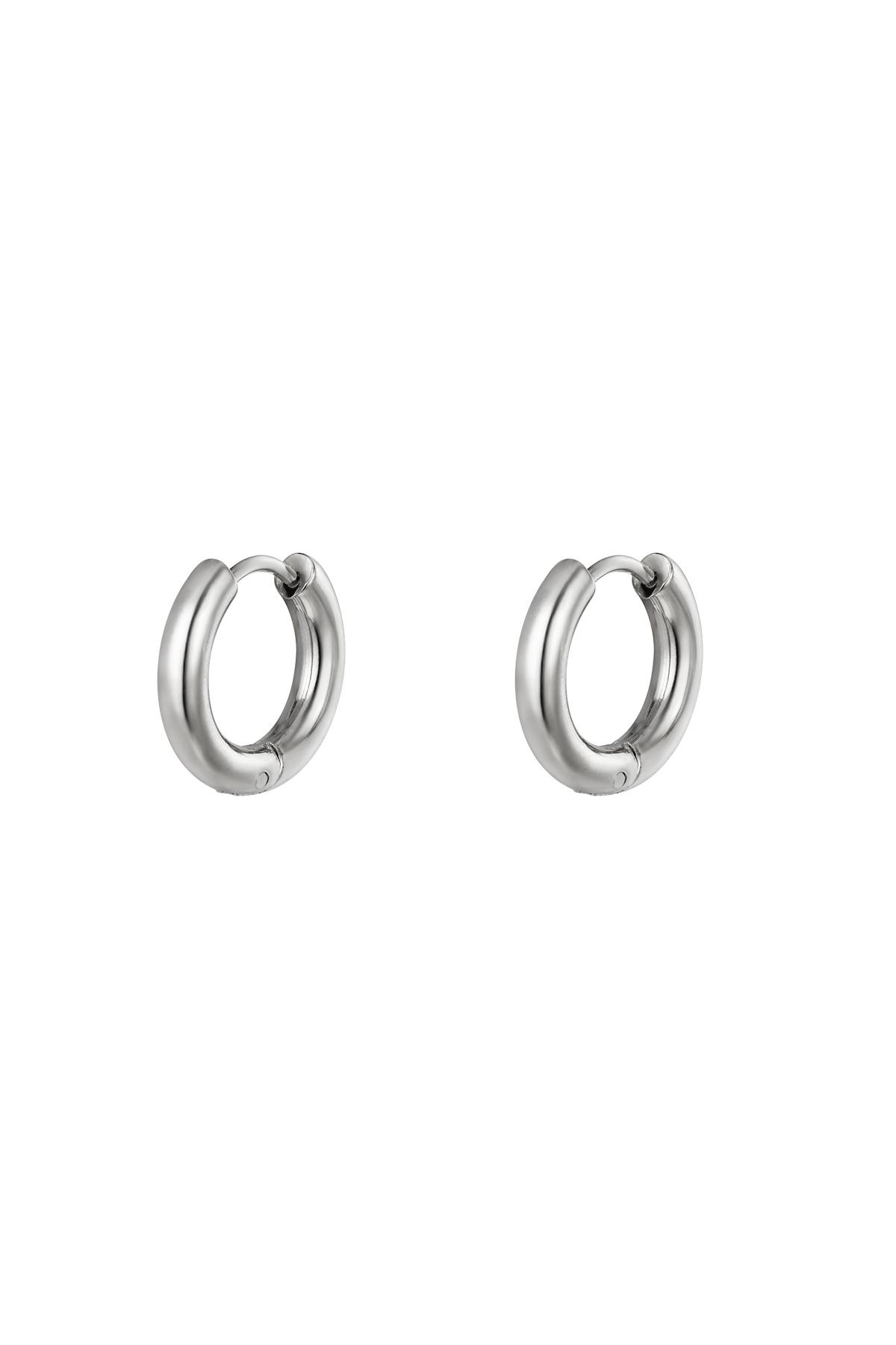 Earrings hoops Silver Color Stainless Steel