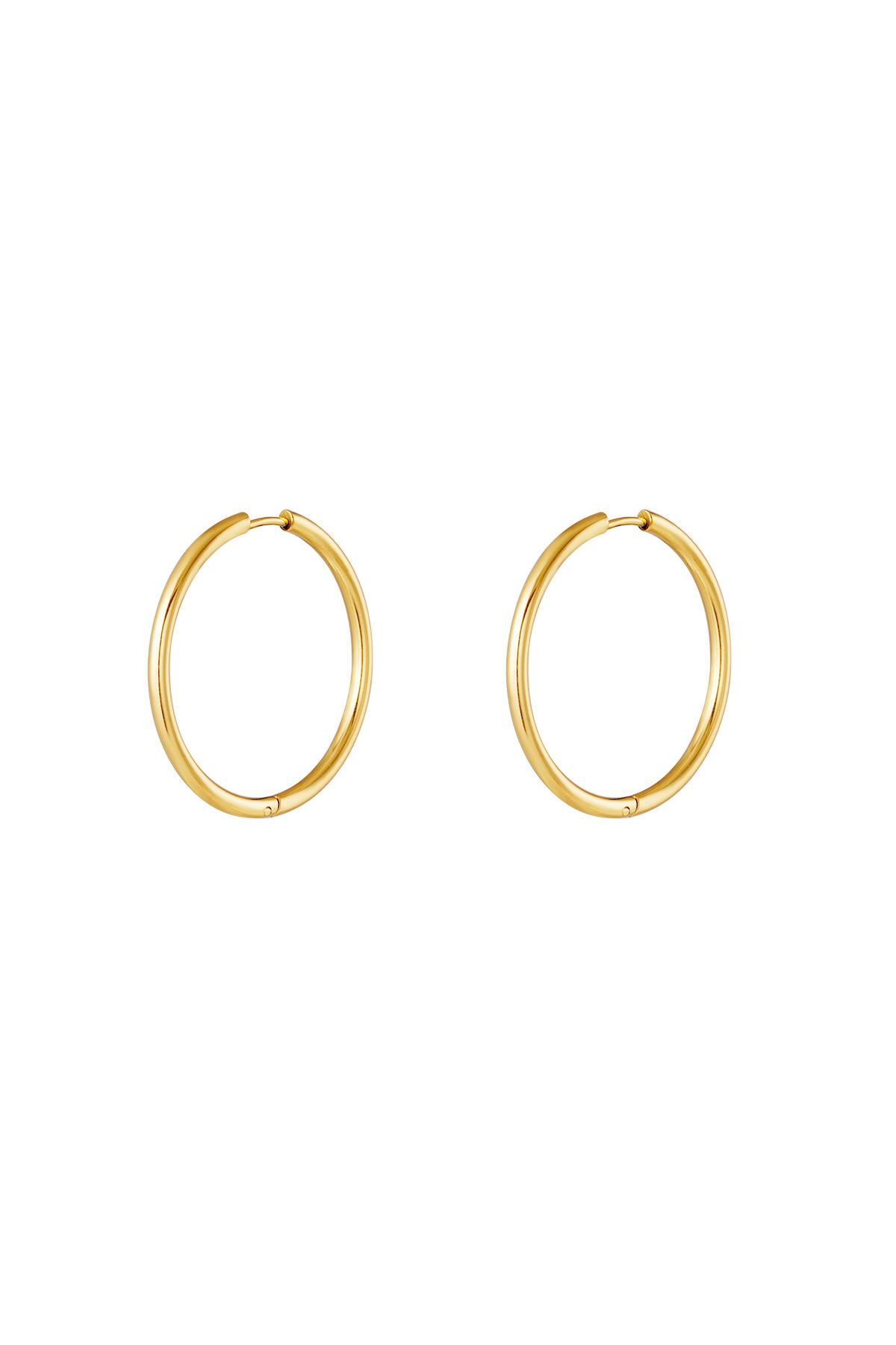 Stainless steel earrings hoops small Gold color