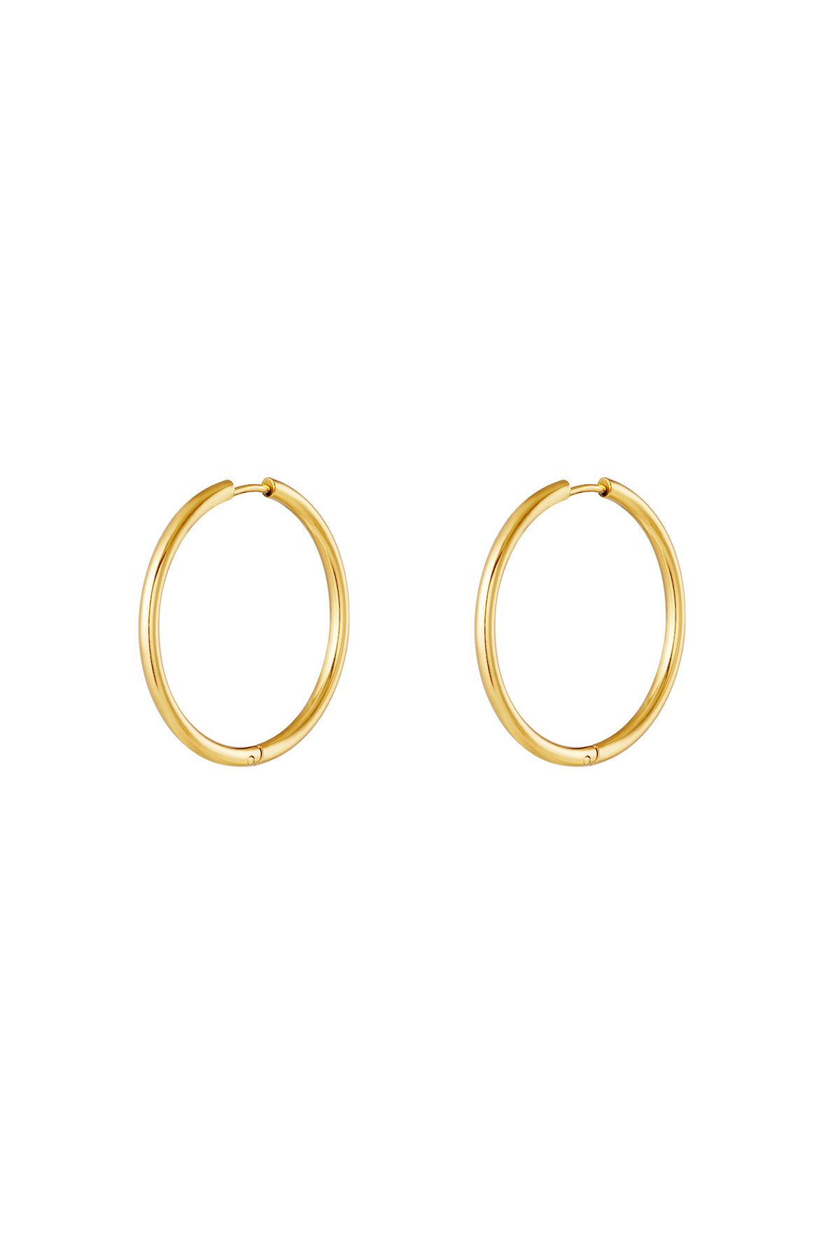 stainless steel earrings hoops small