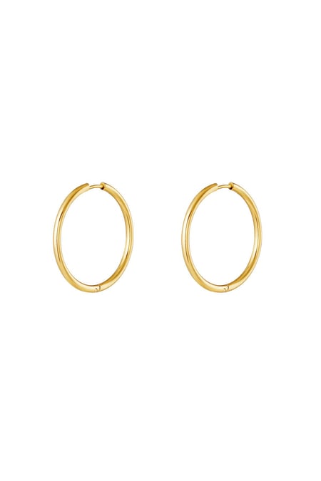 Stainless steel earrings hoops small Gold color