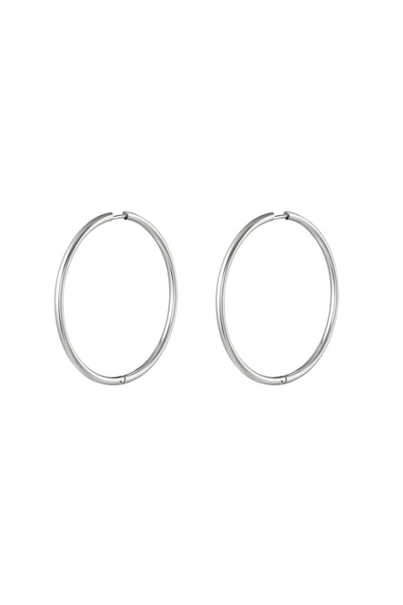 Stainless steel earrings hoops medium Silver color 2