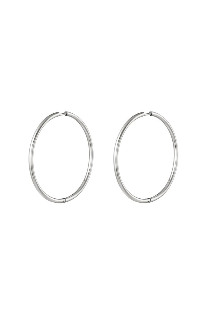 Stainless steel earrings hoops medium Silver color 