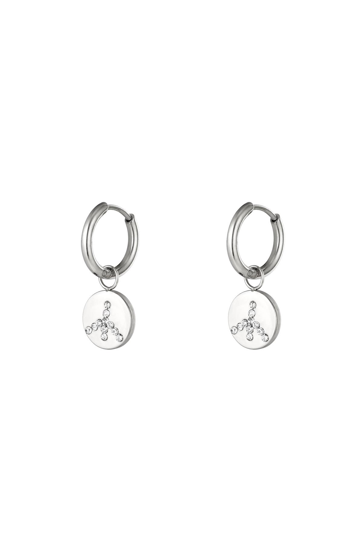 Stainless steel earrings Silver color