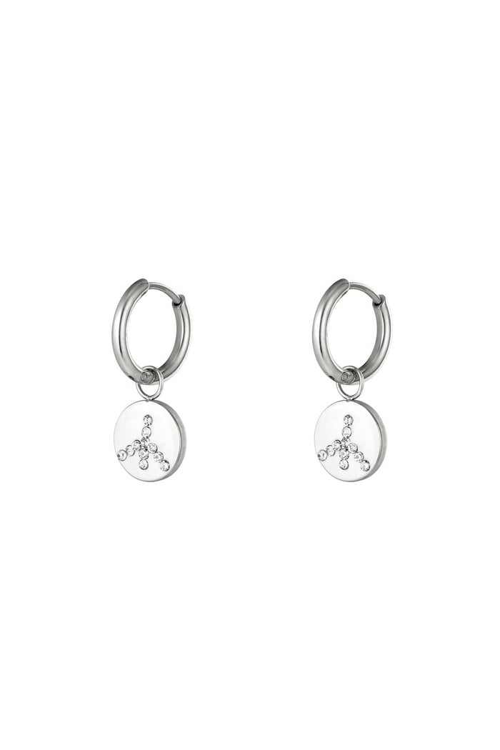 Stainless steel earrings Silver color 