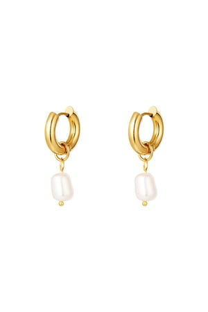 Stainless steel earrings pearls simple Gold color h5 