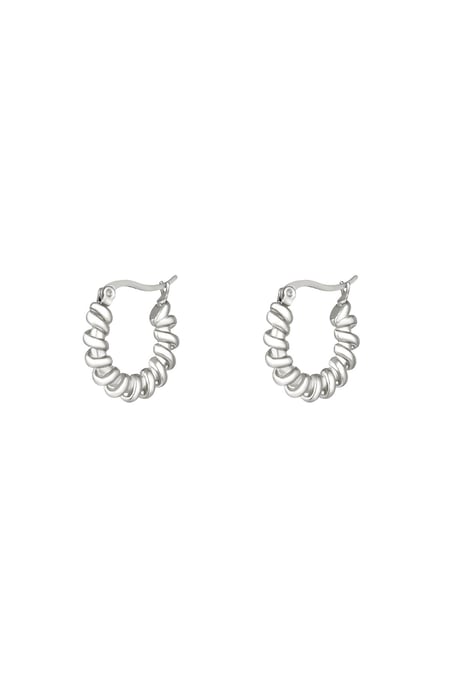 Stainless steel earrings Silver color 2