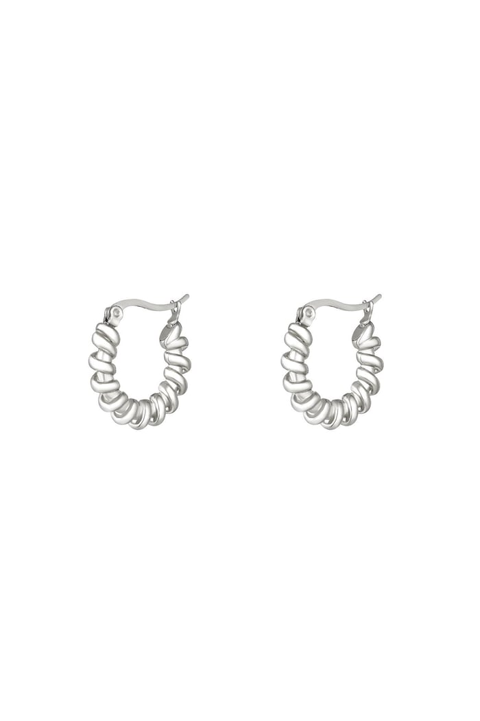 Stainless steel earrings Silver color 